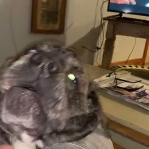 Meet your Posher, Brycen